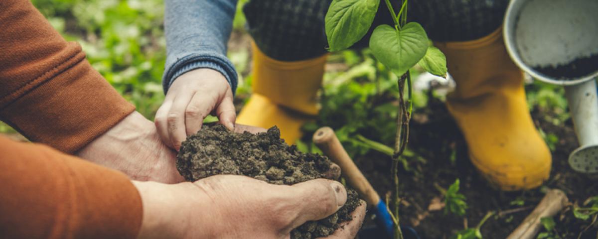 father and child planting tree